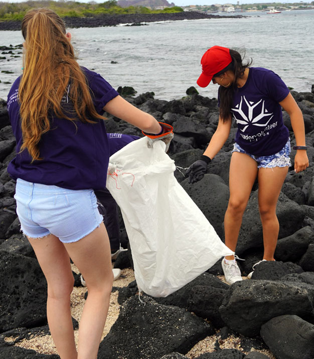 Volunteers working on beach cleanup.